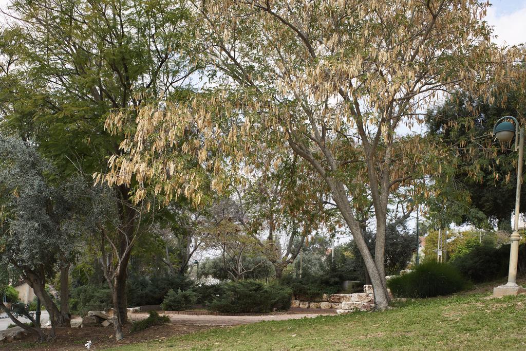 Like Home Gedera Bagian luar foto
