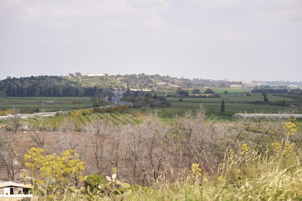 Like Home Gedera Bagian luar foto